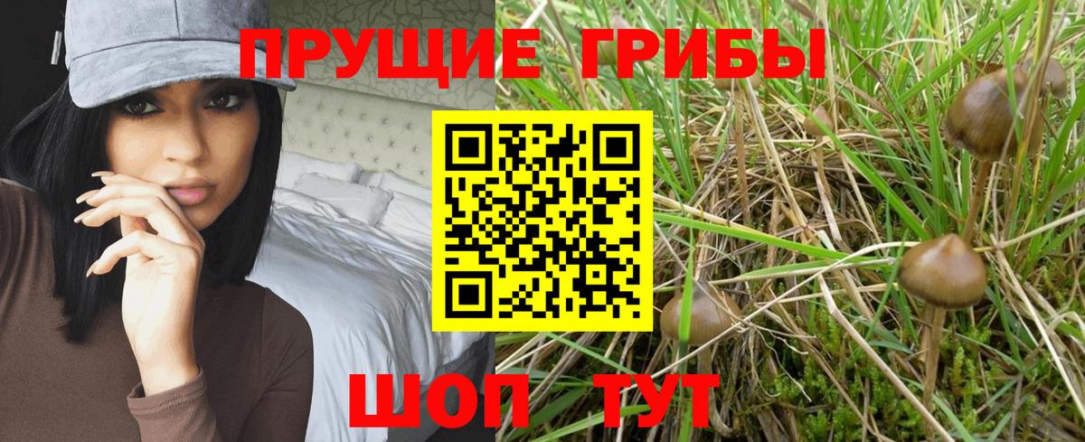 Норильск  Псилоцибиновые грибы Cubensis  Вход с VPN  Галлюциногенные грибы GOLDEN TEACHER 