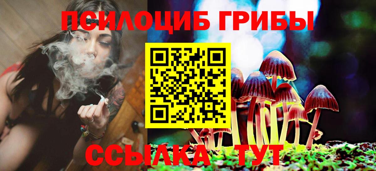 Галлюциногенные грибы Magic Shrooms Норильск